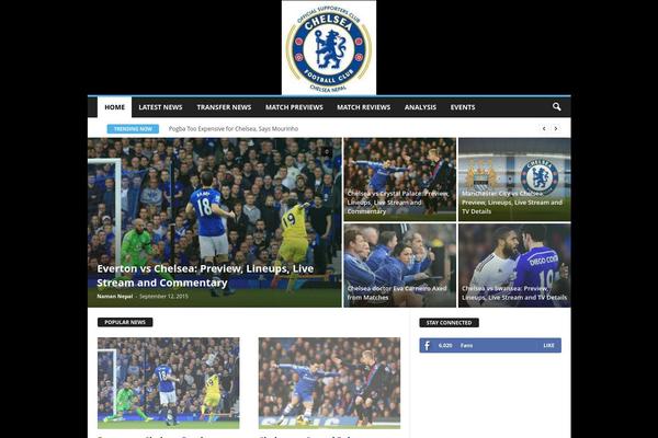 NewsMag theme site design template sample