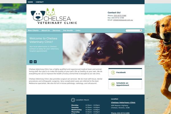 Site using Lifelearn-accessibility plugin