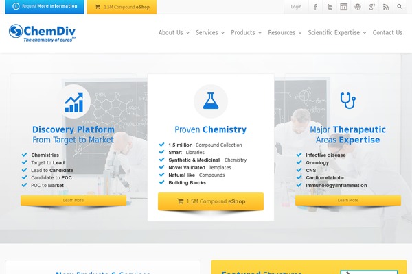 Envision theme site design template sample