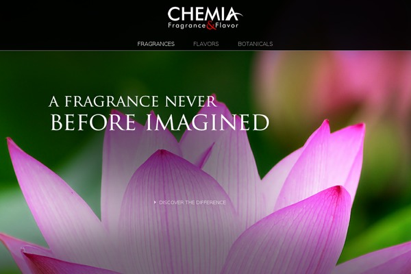 Blank-theme theme site design template sample