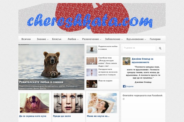 silverOrchid theme site design template sample