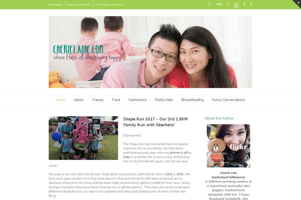 Ashe theme site design template sample