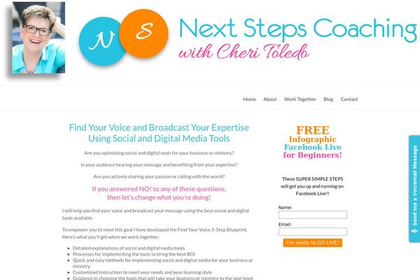 Spacious theme site design template sample