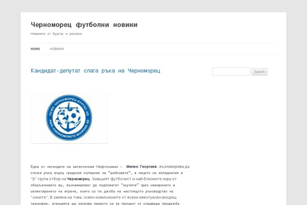 WordPress website example screenshot