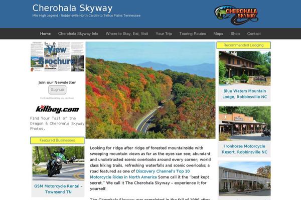 Dynamik Gen theme site design template sample