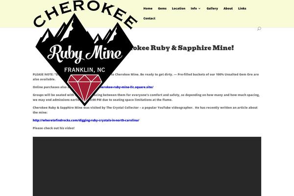 Divi theme site design template sample