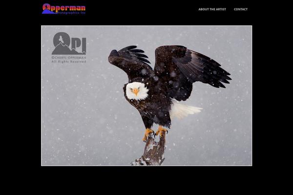 cherylopperman.com site used Photocrati-theme-v4.9.2