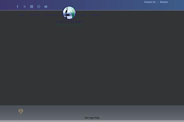 Cla theme site design template sample