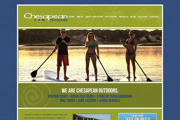 Filtered theme site design template sample
