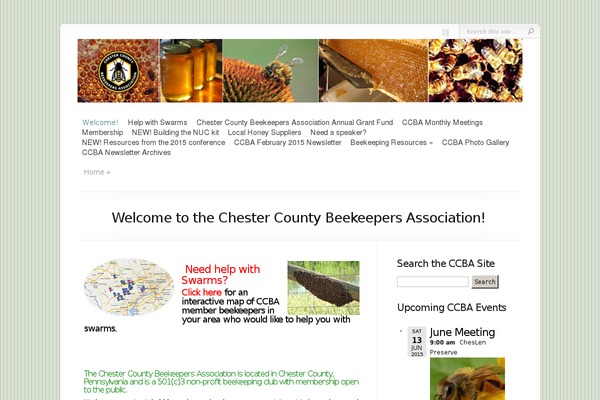 Chameleon theme site design template sample