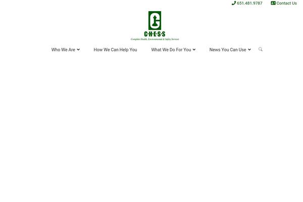 chess-safety.com site used Chess-theme