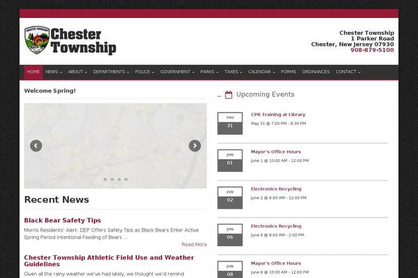 Alterna theme site design template sample