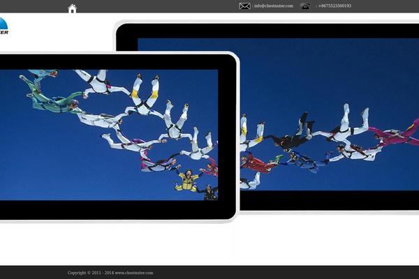 Bigwig theme site design template sample
