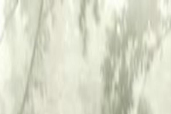 Twenty Seventeen theme site design template sample