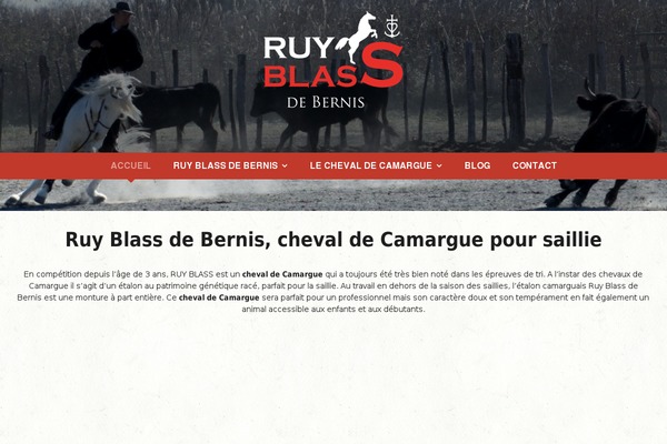 Equestrian theme site design template sample