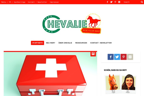 Soledad theme site design template sample