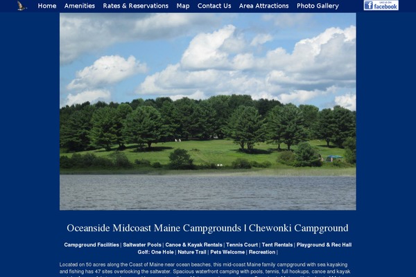 Custom theme site design template sample