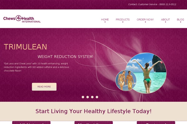 Lotuswp theme websites examples