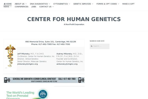 Cerauno theme site design template sample