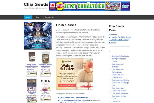 Minn Lite theme site design template sample