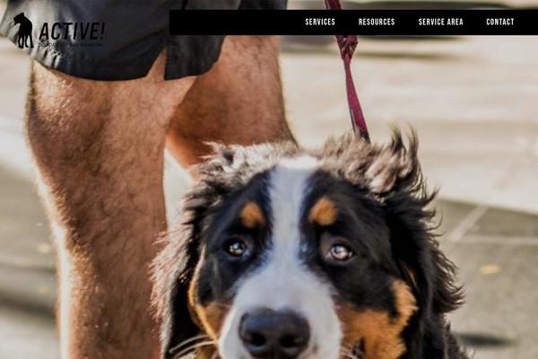 Kora theme site design template sample