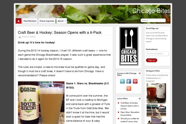 Suffusion theme site design template sample