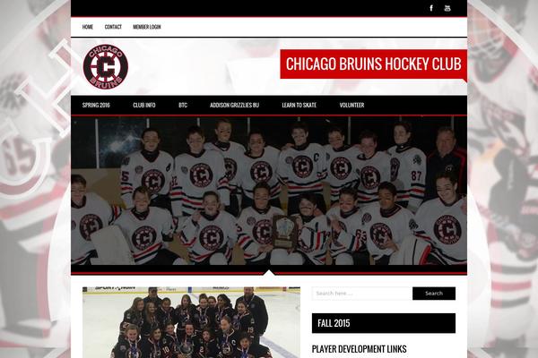 Sporty theme site design template sample