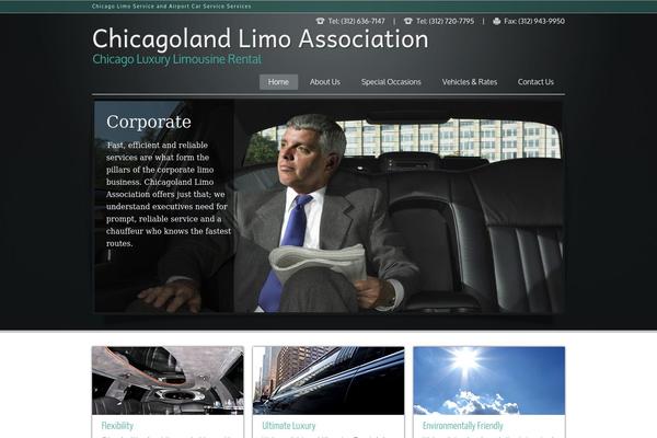Limousine theme site design template sample