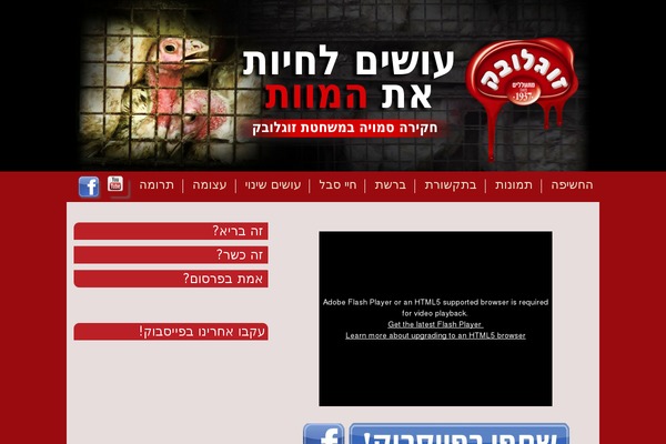 Born theme site design template sample
