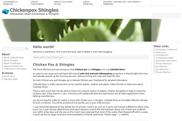 Atahualpa2 theme site design template sample