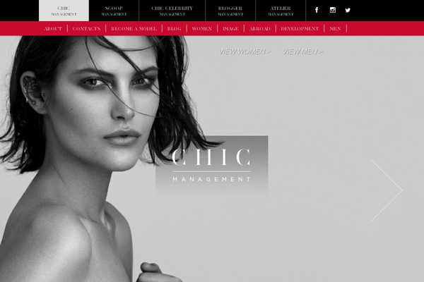 chicmanagement WordPress theme, websites list used chicmanagement theme chicmanagement theme websites examples