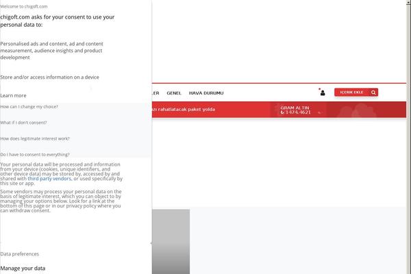 chigoft.com site used Rex