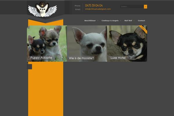 chihuahuabelgium.com site used Especial