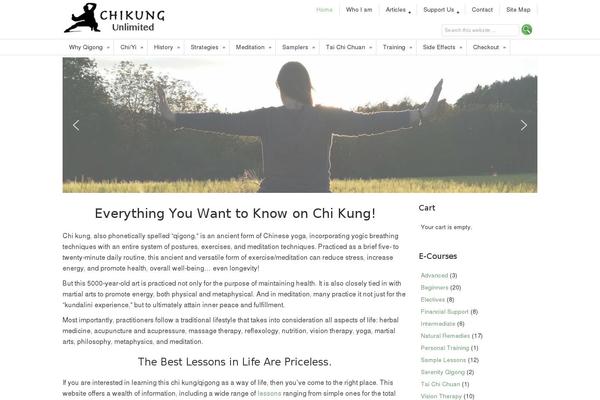 Dynamik Gen theme site design template sample