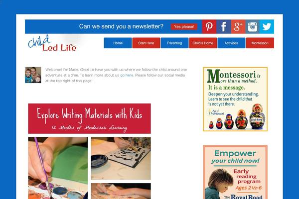 Site using Google AdSense by BestWebSoft plugin