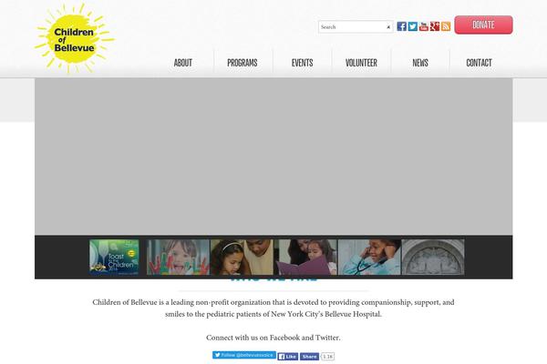 Site using Custom-twitter-feeds plugin