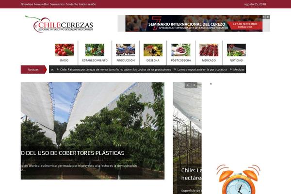 chilecerezas.cl site used Master