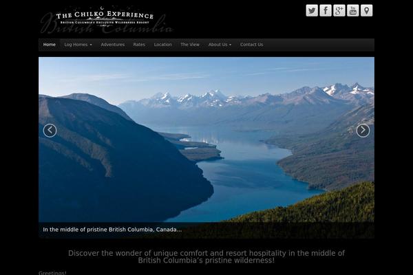 CyberChimps Pro theme site design template sample