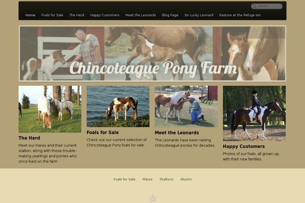 PageLines theme site design template sample