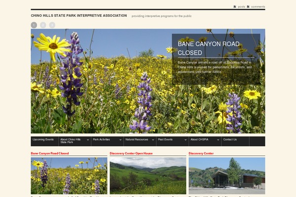 F8 Lite theme site design template sample