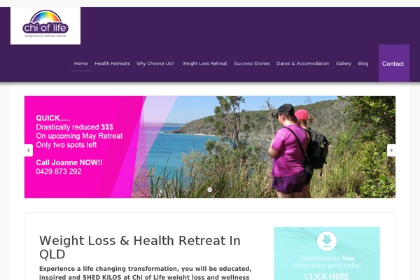 Chi theme site design template sample