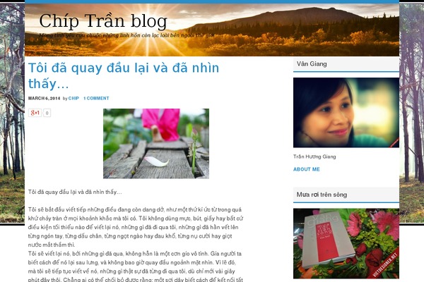 chiptran.com site used Winfield-master