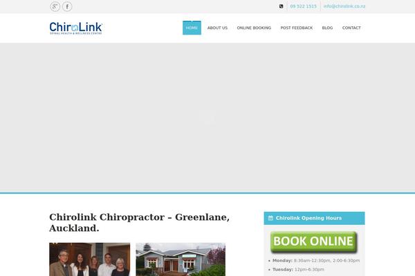 SoulMedic theme site design template sample