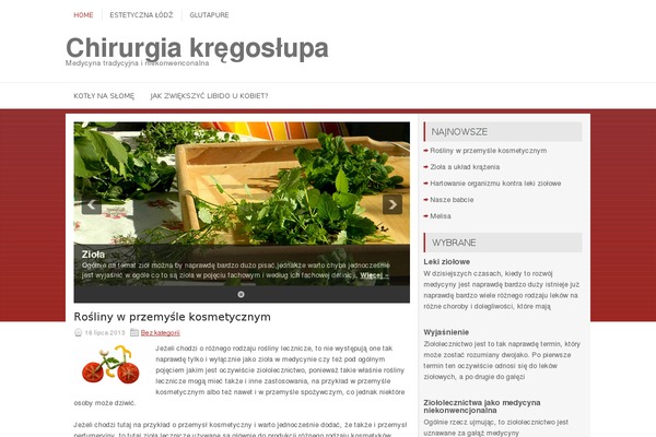 Lumix theme site design template sample