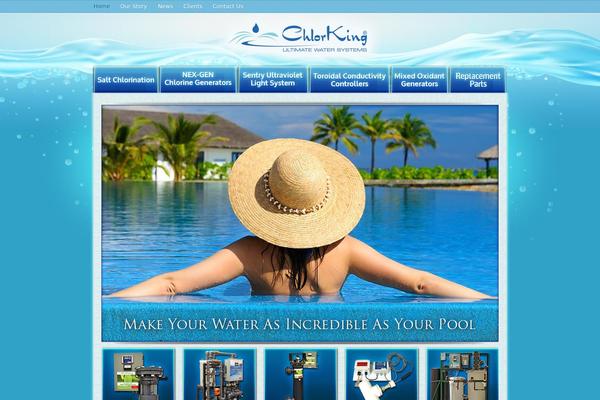 Niche_custom theme site design template sample