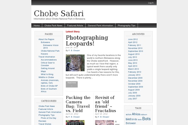 Magazine Basic theme site design template sample