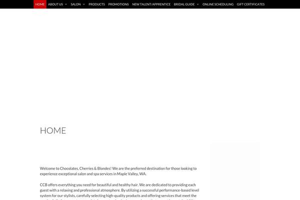 Site using Accesspress-social-icons-pro plugin