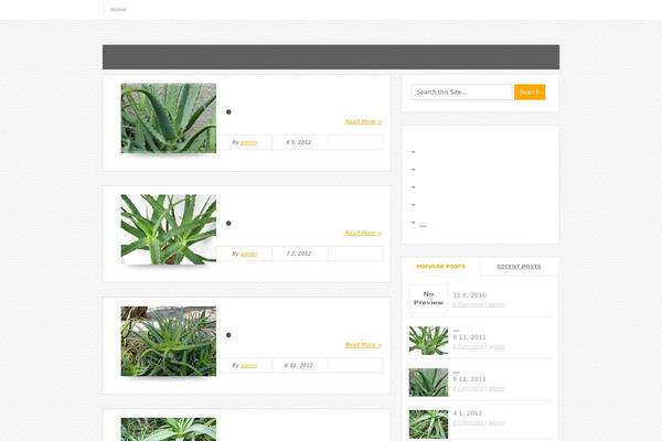 Bloggie theme site design template sample