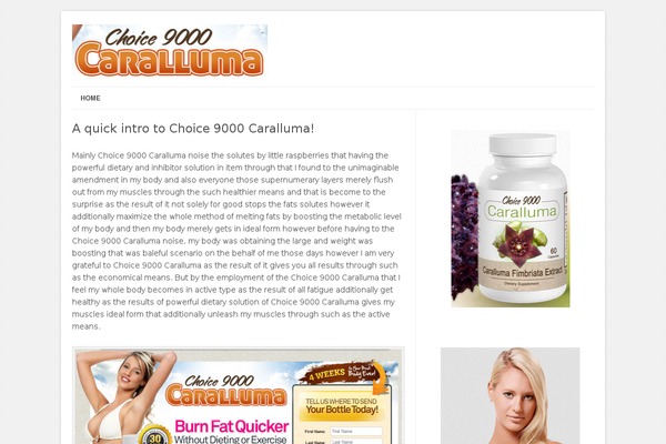 choice900carallumaadvice.com site used Leaf