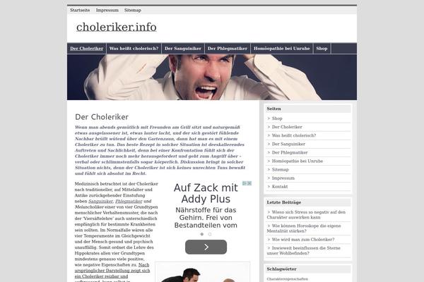 zeeMagazine theme site design template sample